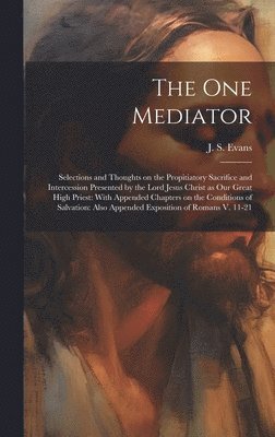 bokomslag The one Mediator