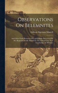 bokomslag Observations On Belemnites