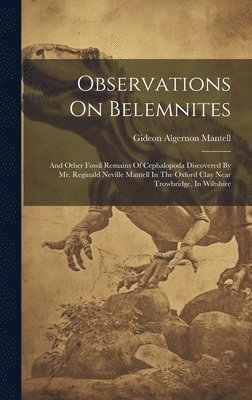 Observations On Belemnites 1