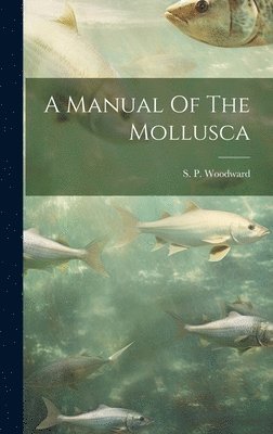 bokomslag A Manual Of The Mollusca