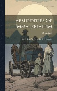 bokomslag Absurdities Of Immaterialism