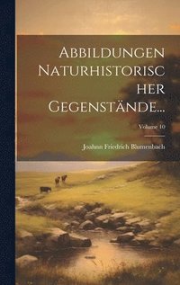 bokomslag Abbildungen Naturhistorischer Gegenstnde...; Volume 10