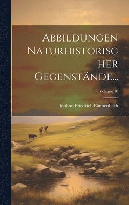 Abbildungen Naturhistorischer Gegenstnde...; Volume 10 1