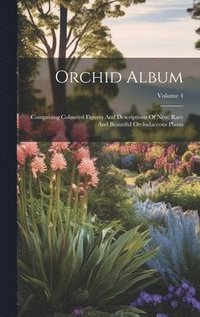 bokomslag Orchid Album