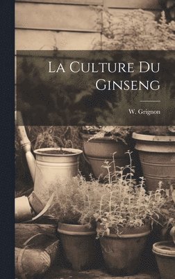 bokomslag Culture Du Ginseng