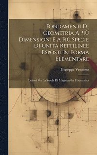 bokomslag Fondamenti Di Geometria A Pi Dimensioni E A Pi Specie Di Unit Rettilinee Esposti In Forma Elementare