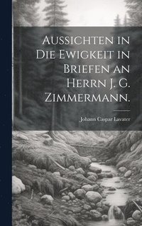 bokomslag Aussichten in die Ewigkeit in Briefen an Herrn J. G. Zimmermann.