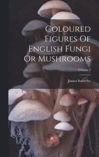 bokomslag Coloured Figures Of English Fungi Or Mushrooms; Volume 2