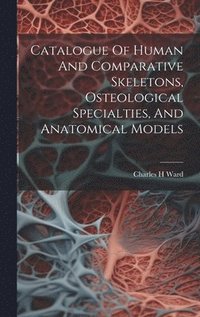 bokomslag Catalogue Of Human And Comparative Skeletons, Osteological Specialties, And Anatomical Models