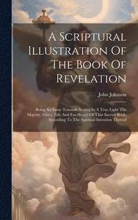 bokomslag Scriptural Illustration Of The Book Of Revelation