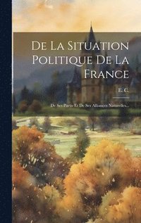 bokomslag De La Situation Politique De La France