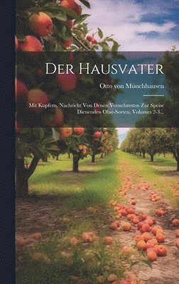 bokomslag Der Hausvater