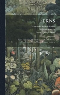 bokomslag Ferns: Pteris, Hypolepis, Cheilanthes, Doodia, Blechnum, Woodwardia, Stenochlaena, Brainea, Lomaria