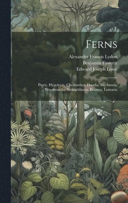 Ferns: Pteris, Hypolepis, Cheilanthes, Doodia, Blechnum, Woodwardia, Stenochlaena, Brainea, Lomaria 1