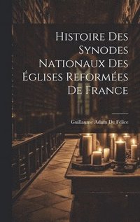 bokomslag Histoire Des Synodes Nationaux Des glises Reformes De France