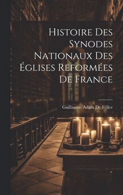 Histoire Des Synodes Nationaux Des glises Reformes De France 1