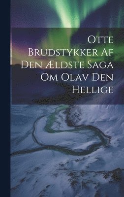 bokomslag Otte Brudstykker Af Den ldste Saga Om Olav Den Hellige