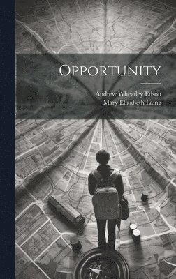 Opportunity 1