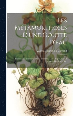 Les Mtamorphoses D'une Goutte D'eau 1