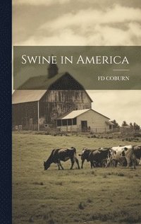 bokomslag Swine in America