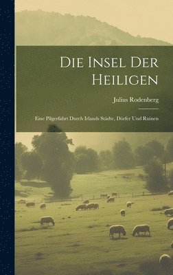 bokomslag Die Insel Der Heiligen