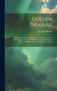 bokomslag Golden Treasure