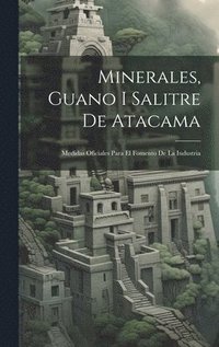 bokomslag Minerales, Guano I Salitre De Atacama