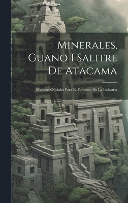 bokomslag Minerales, Guano I Salitre De Atacama