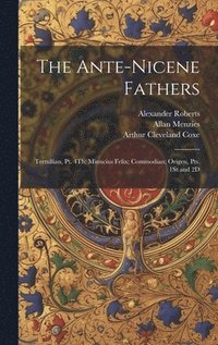 bokomslag The Ante-Nicene Fathers