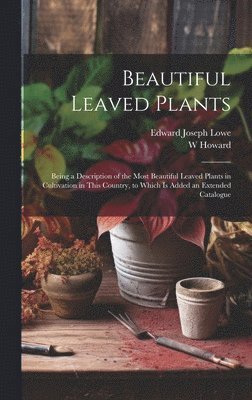 bokomslag Beautiful Leaved Plants: Being a Description of the Most Beautiful Leaved Plants in Cultivation in This Country, to Which Is Added an Extended Catalog