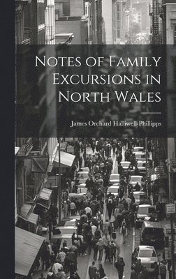 bokomslag Notes of Family Excursions in North Wales