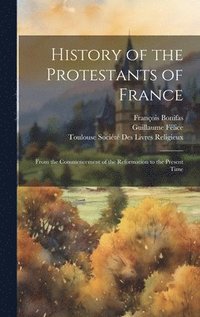 bokomslag History of the Protestants of France
