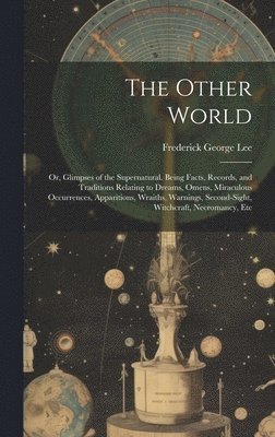 bokomslag Other World