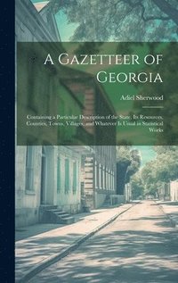 bokomslag A Gazetteer of Georgia