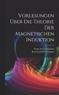 bokomslag Vorlesungen ber Die Theorie Der Magnetischen Induktion