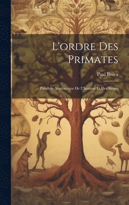 bokomslag L'ordre Des Primates