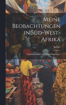 bokomslag Meine Beobachtungen in Süd-West-Afrika