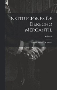 bokomslag Instituciones De Derecho Mercantil; Volume 6