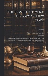 bokomslag The Constitutional History of New York