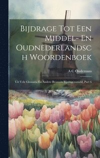 bokomslag Bijdrage Tot Een Middel- En Oudnederlandsch Woordenboek