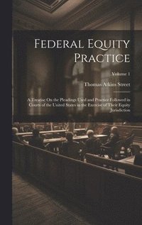 bokomslag Federal Equity Practice