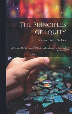 bokomslag The Principles of Equity