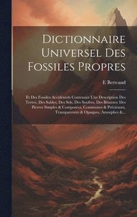 bokomslag Dictionnaire Universel Des Fossiles Propres