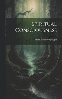 bokomslag Spiritual Consciousness