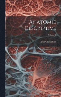 bokomslag Anatomie Descriptive; Volume 2