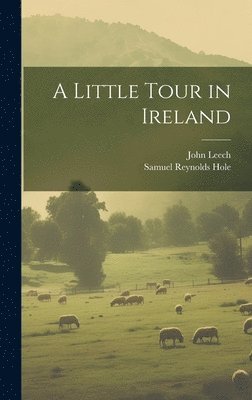 Samuel Reynolds Hole, John Leech - Little Tour in Ireland, Inbunden