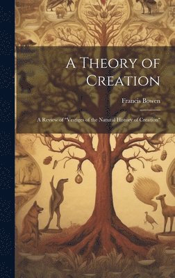 bokomslag A Theory of Creation