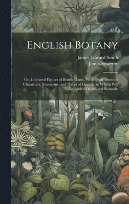 bokomslag English Botany