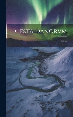 bokomslag Gesta Danorvm