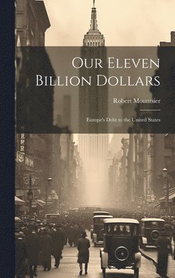 bokomslag Our Eleven Billion Dollars